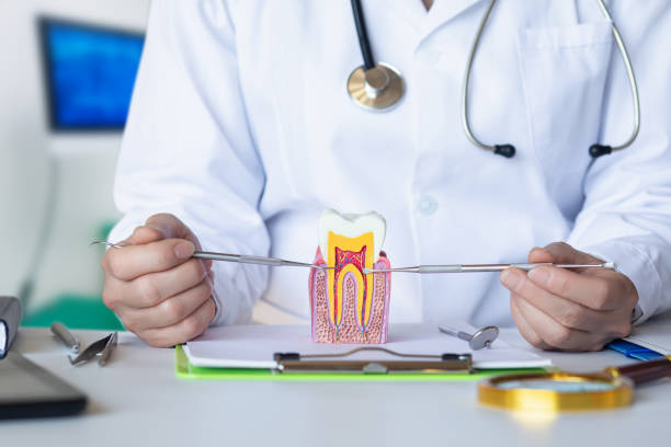 Best Walk-In Emergency Dental Services in Crestwood, KY